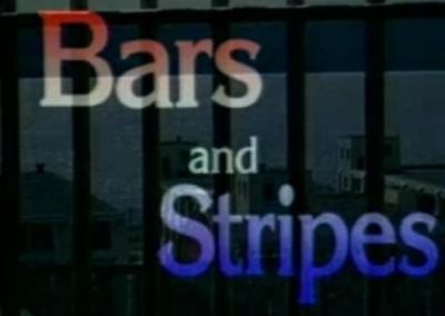 Bars and Stripes: Doing Time in the Prison Complex